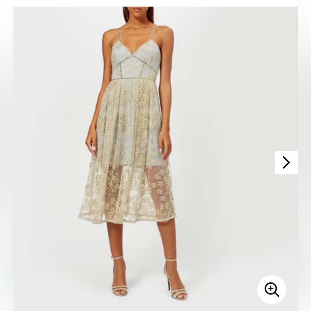 Self Portrait Floral Embroidered Mesh Midi Dress